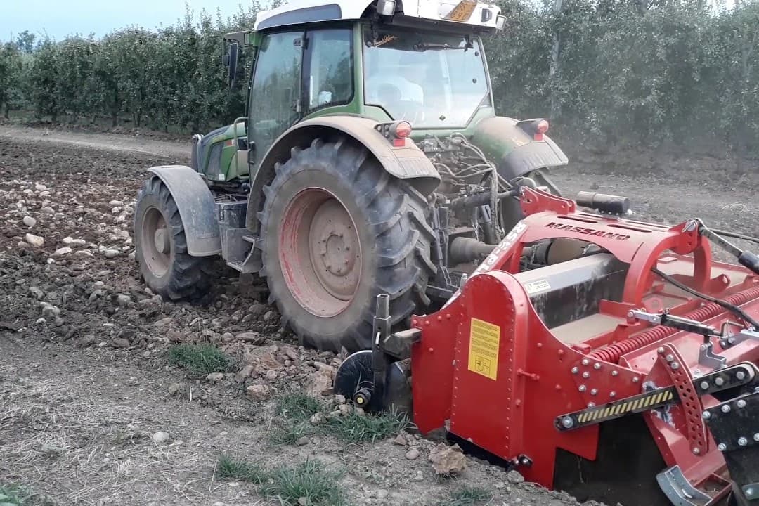 RSD trabajando en campo