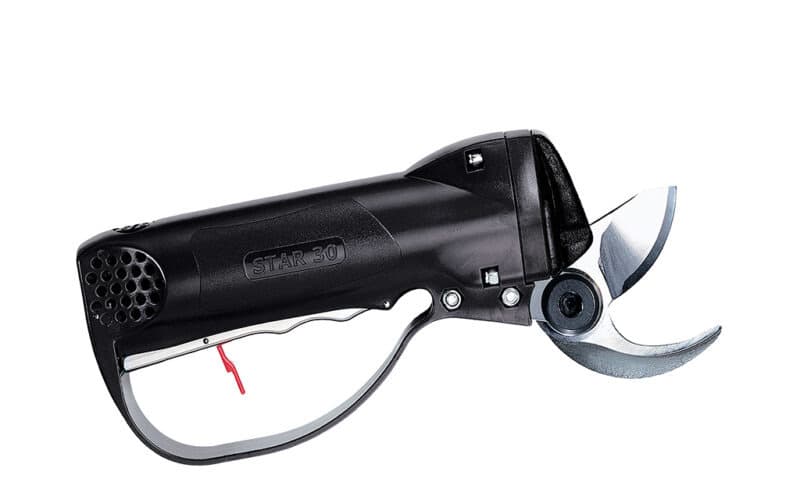 STAR 30 de Campagnola