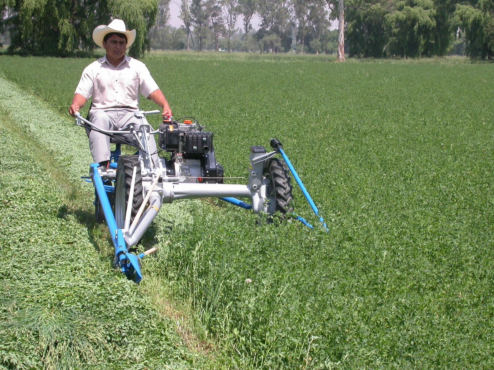 Motosegadora BCS 622 con calesín cortando alfalfa