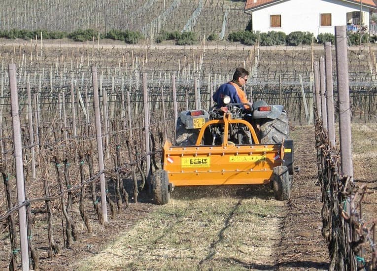 BERTI PICKER 180 recogiendo poda en viñedo