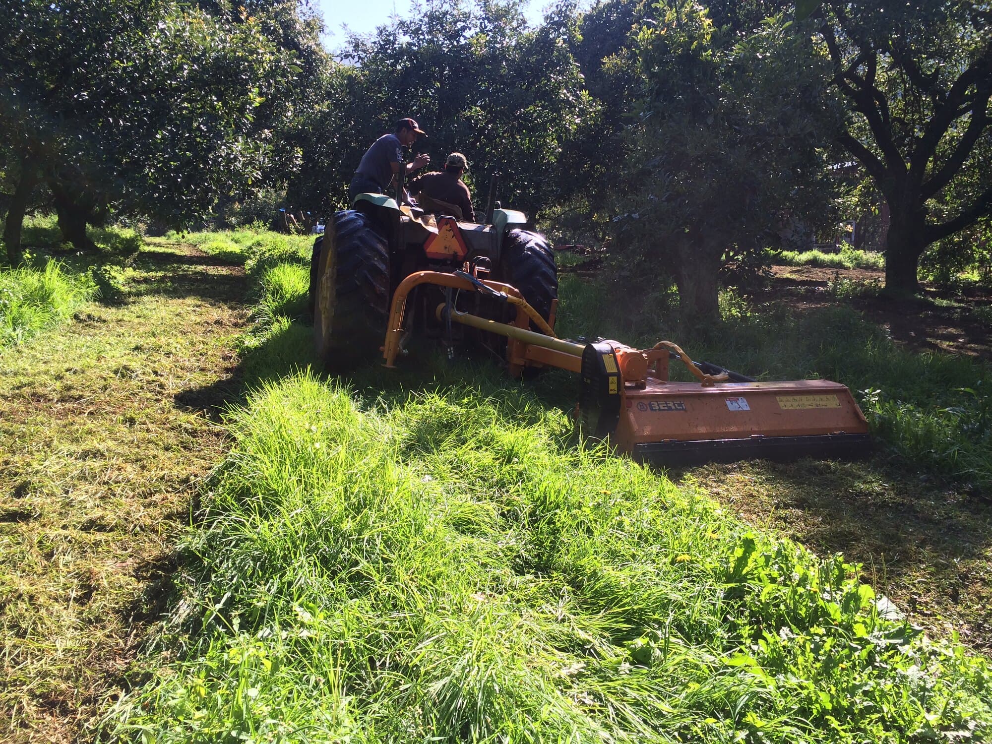 TA trabajando en campo