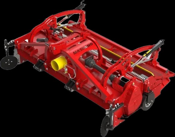 RSE-PLUS de Massano