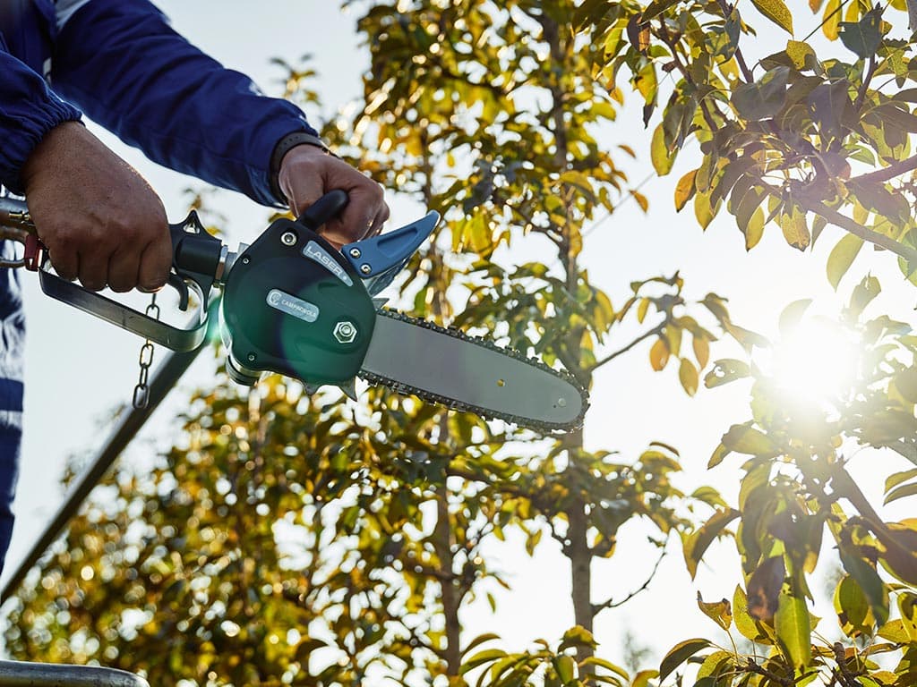 Podadora de cadena LASER cortando una rama a contraluz