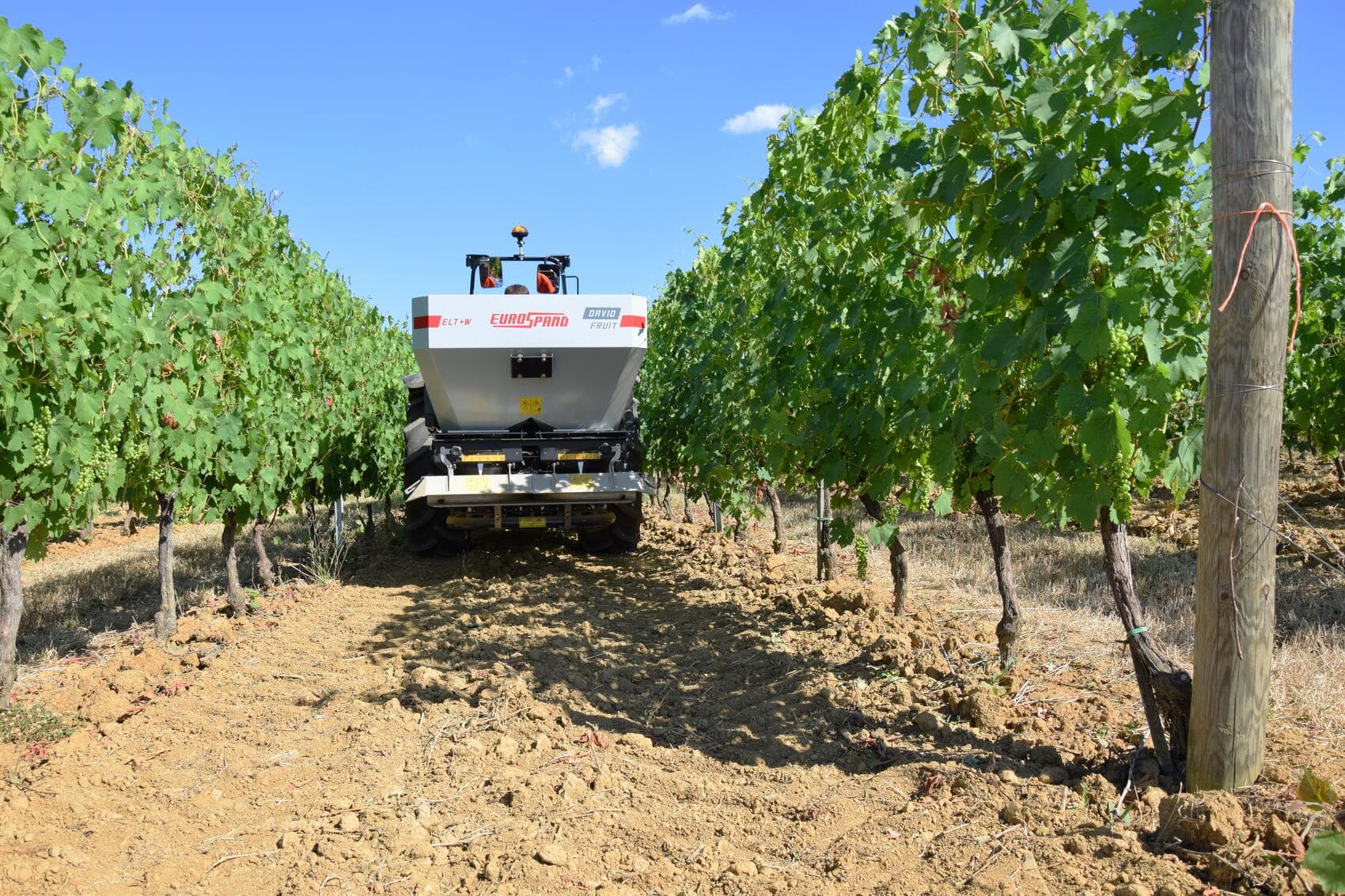 Abonadora Eurospand DAVID FRUIT por el centro de una hilera de viñedo
