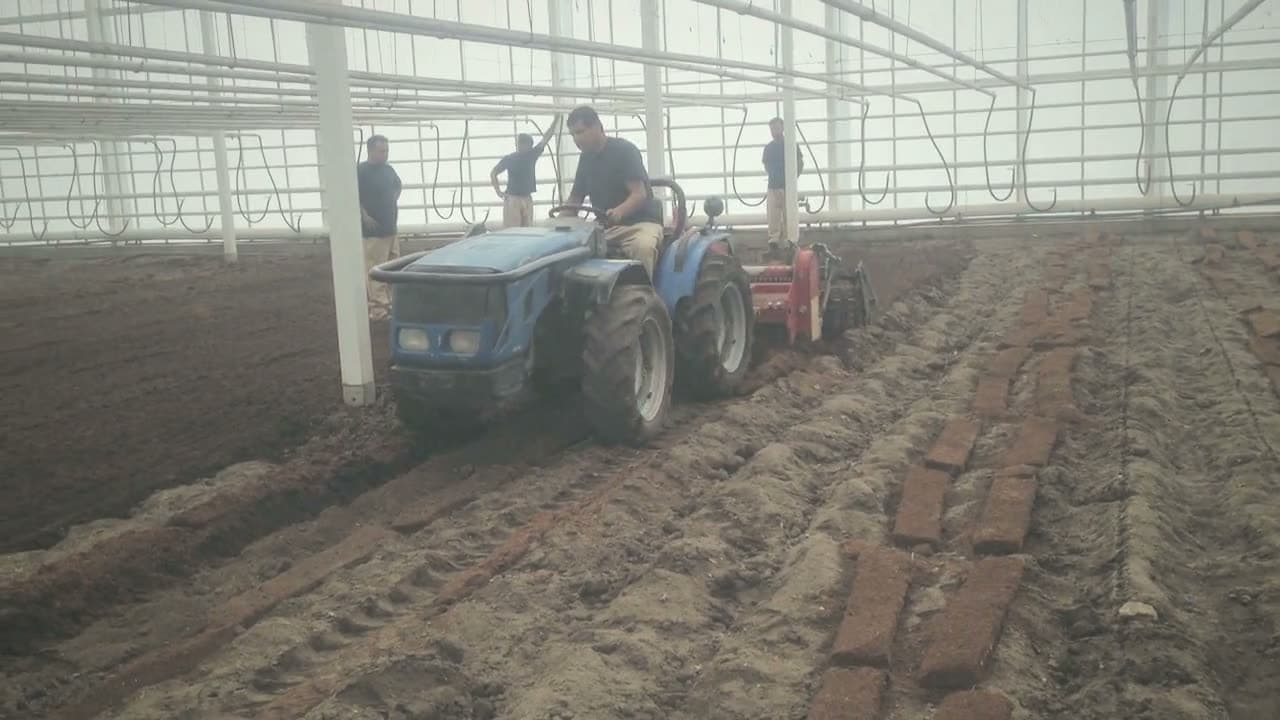 Massano con tractor BCS trabajando el suelo del invernadero