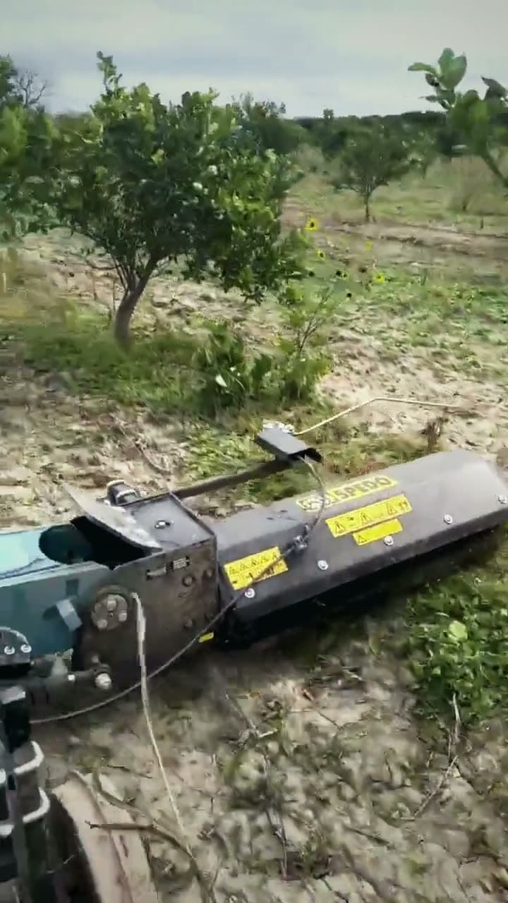 PLUTONE de Spedo limpiando la hilera de cítricos
