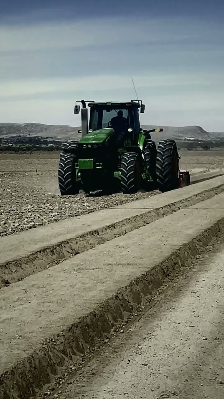 Camas para hortalizas formadas con Massano