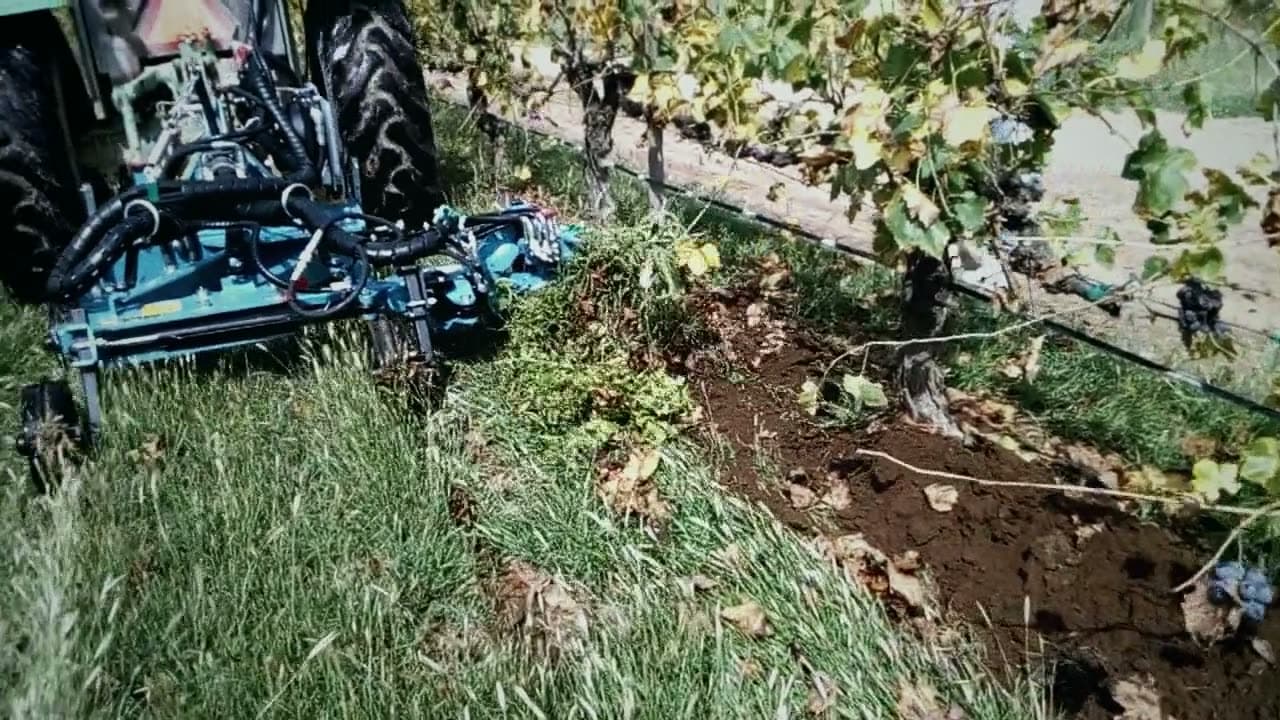 Interfilar Spedo limpiando la franja del viñedo
