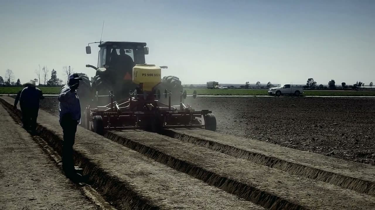 Massano levantando camas para hortalizas
