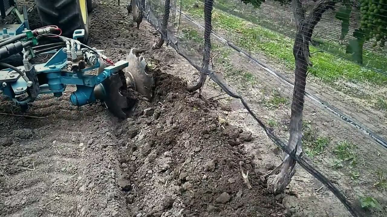 Interfilar Spedo con rastra de aporque en viñedo